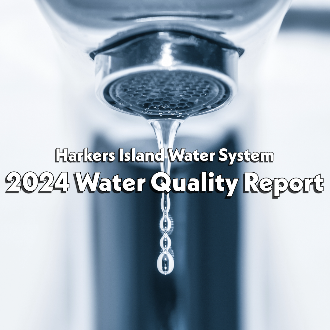 2024 Water Quality Report