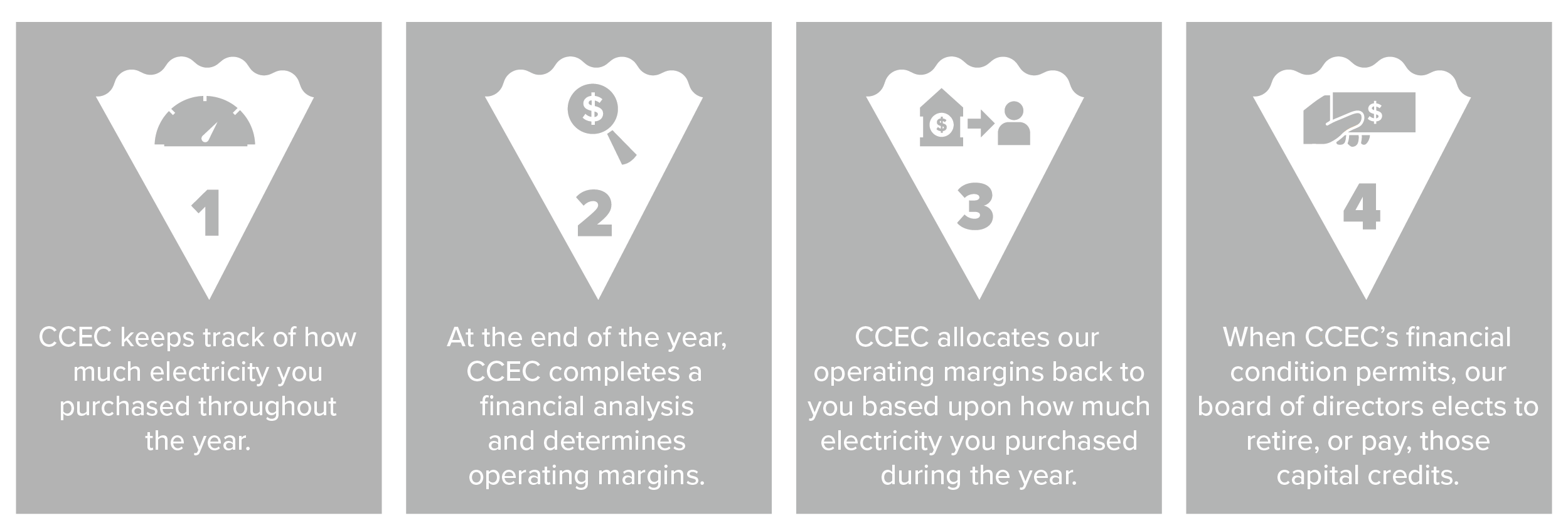 Capital Credit pie
